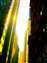 Valley of Light: Vertical Landscape